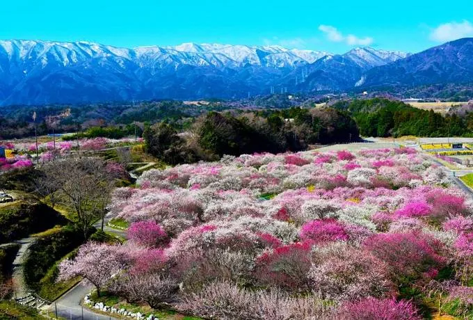 三重県の観光地穴場スポット「にぎわいの森」と「いなべ市農業公園」をご紹介！