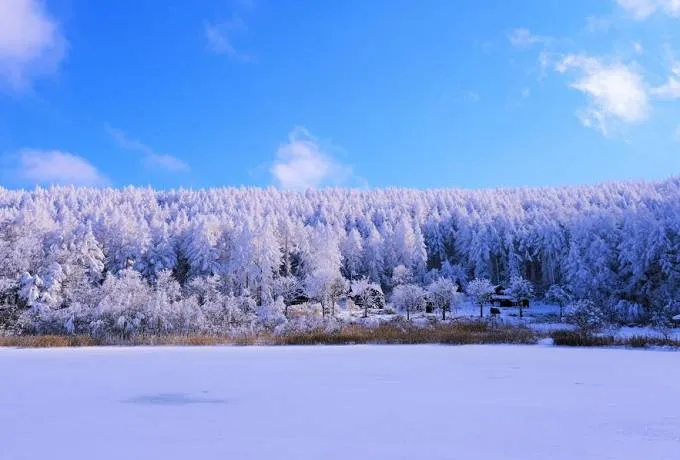 雪の絶景＆レジャーを満喫！長野の冬旅おすすめスポット